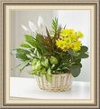 Sailers Florist & Gifts, 15 Greenwich St, Belvidere, NJ 07823, (908)_475-3779